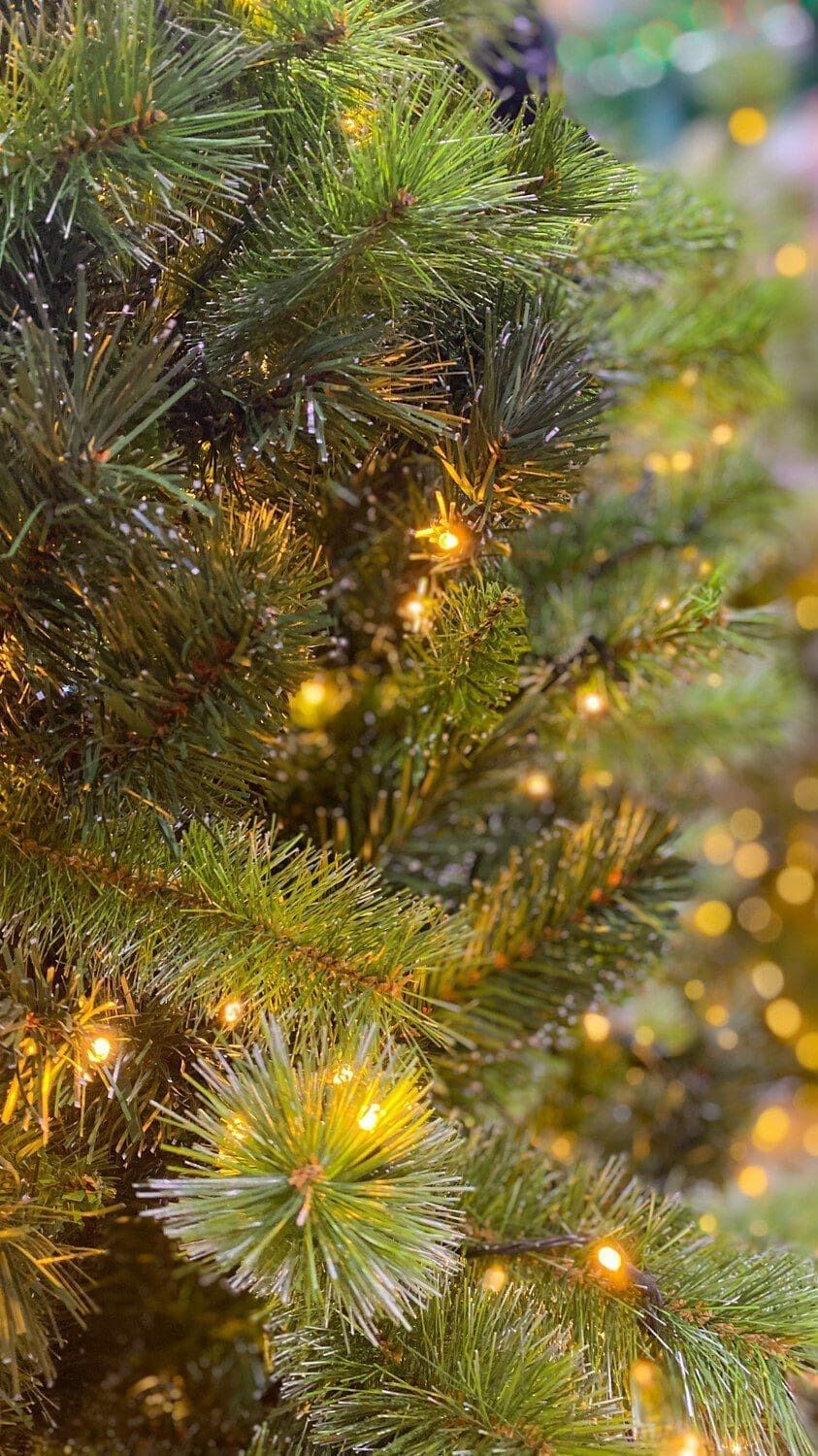 THC2343 was SO910668 6ft Carolina  LED 800 Warm White & Multi Lights. 764 Tips