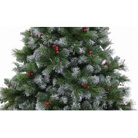 6ft Westminster Pine 1018 Tips Hinged