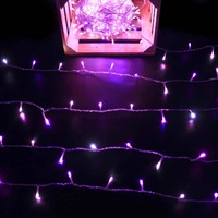 420 Dual Colour String Light W&B Clear Cable