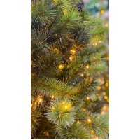 THC2343 was SO910668 6ft Carolina  LED 800 Warm White & Multi Lights. 764 Tips