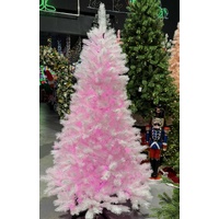 White Alaskan Pine Tree