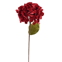Velvet Hydrangea