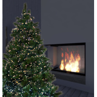LED Fairy Lights 2000 
