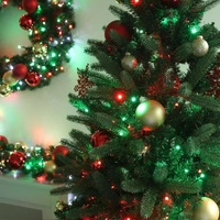 320 String Light Red/Green