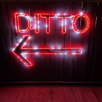 Ditto RGB  Motif 143cm
