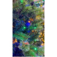 THC2343 was SO910668 6ft Carolina  LED 800 Warm White & Multi Lights. 764 Tips