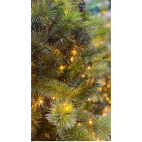 THC2344 7ft (210cm) Carolina  10 Function LED Lights