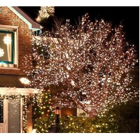 1000 LED Fairy Lights White