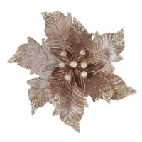 Velvet Poinsettia