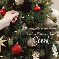 Scentsicles -  Spiced Pine Cones