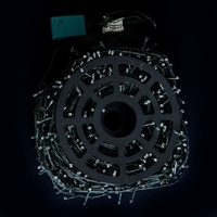 1000 LED Fairy Lights White