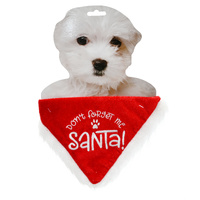 Pet Bandana!