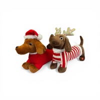 Dachshund - Cute!