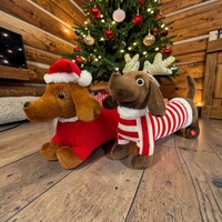 Dachshund - Cute!