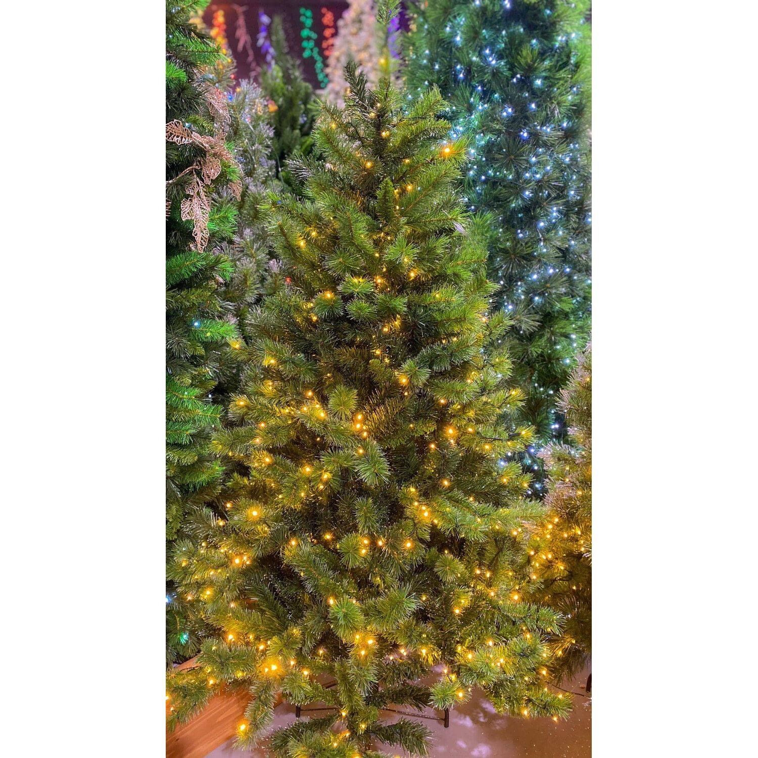 THC2343 was SO910668 6ft Carolina  LED 800 Warm White & Multi Lights. 764 Tips