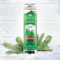 Scentsicles -  Winter Fir 