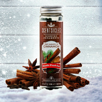 Scentsicles - Two Dashes of Cinnamon