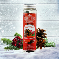 Scentsicles -  Spiced Pine Cones