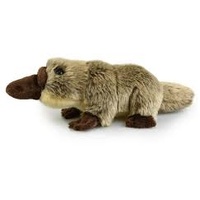 18cm Platypus