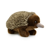 18cm Echidna