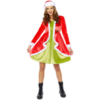 Grinch Costume Womens 8-10