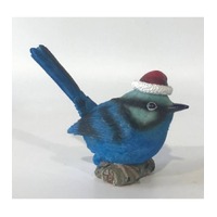 Xmas Wren