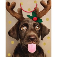 Xmas Bag Large Dog