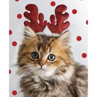 Xmas Bag Large Cat