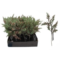 Green Branch with Red Berries 36cm