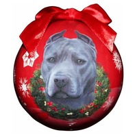 PIT BULL , BLUE