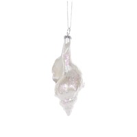 High Shine Queen Conch  Hanging..