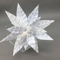 White  Ponsettia