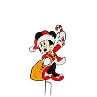 Minnie Mouse  very pretty!