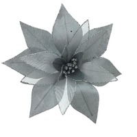 Silver Poinsettia