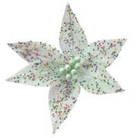 Green Sprinkle Poinsettia