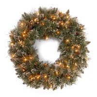 61cm Glittery Bristle Wreath