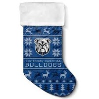 NRL Bulldogs Xmas Stocking