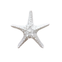 Starfish 15x4cm