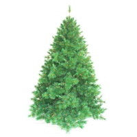 Traditional Trees image