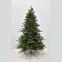 Grand Spruce