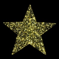 LED Star 80cm