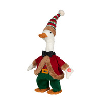 Funny Animated Duck!