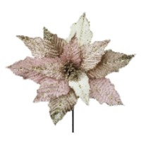 13&quot; Poinsettia Champagne