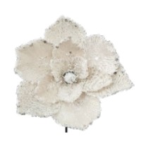 Flowers image