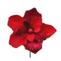 10&quot; Magnolia Red