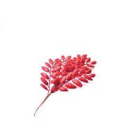 22&#39; leaf Spray Red
