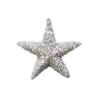 5&quot; Glitter Star Silver Glitter Back with Silver Glitter