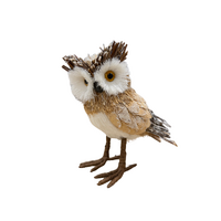 Cute Brown Owl 