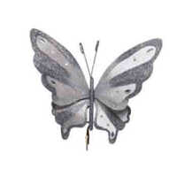 Animals image