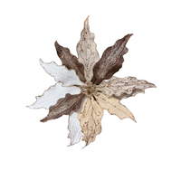 13" Poinsettia Champange